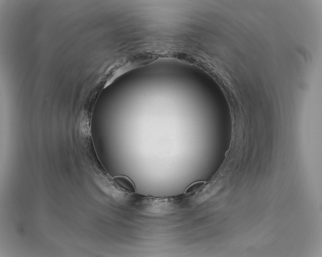 X0000113160384200909041300