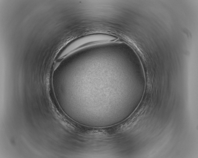 X0000113160386200909041300