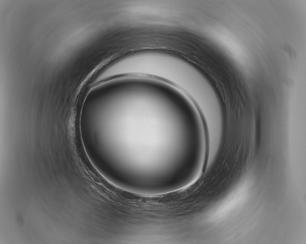 X0000113160387200909041300