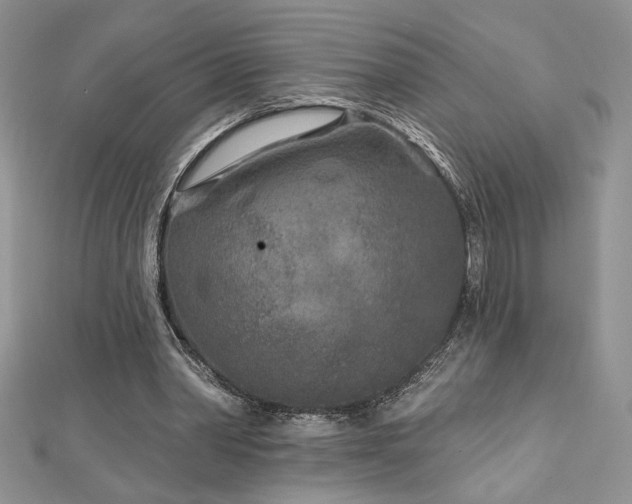 X0000113160390200909041300