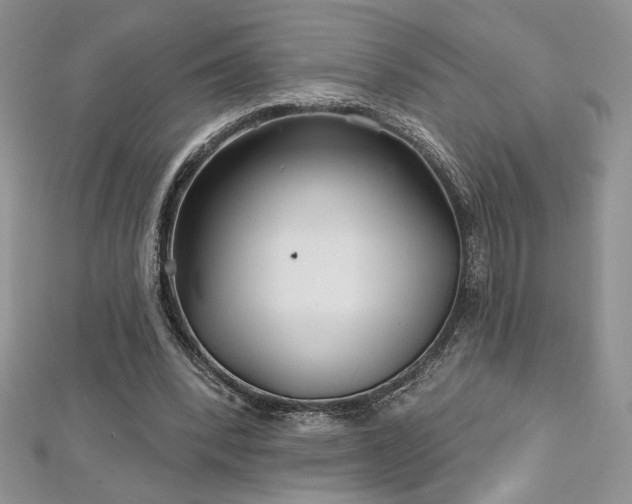 X0000113160392200909041300