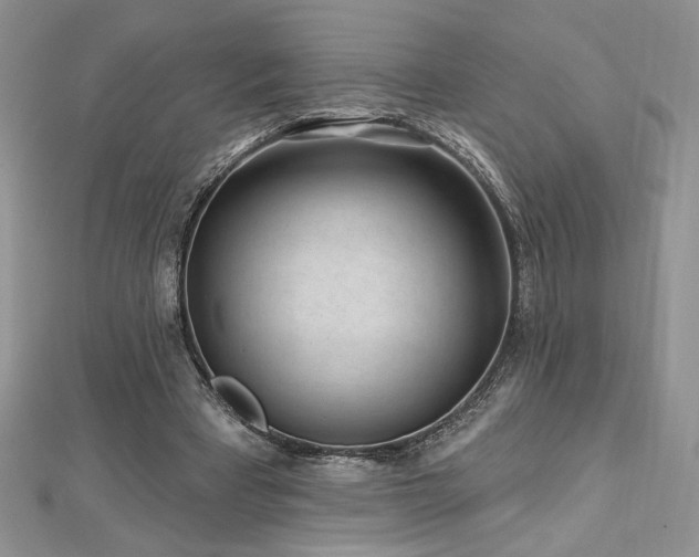 X0000113160393200909041300