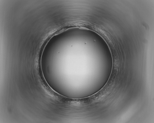 X0000113160394200909041300