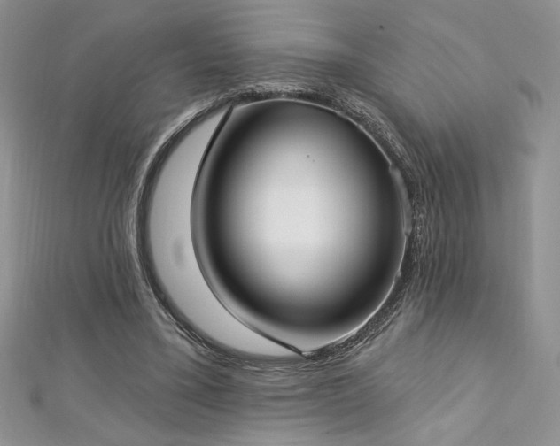 X0000113160395200909041300