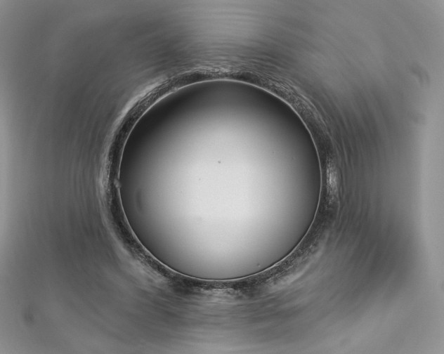 X0000113160396200909041300