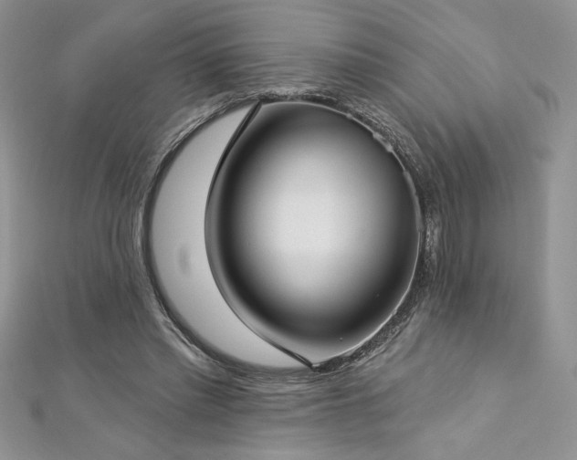 X0000113160397200909041300