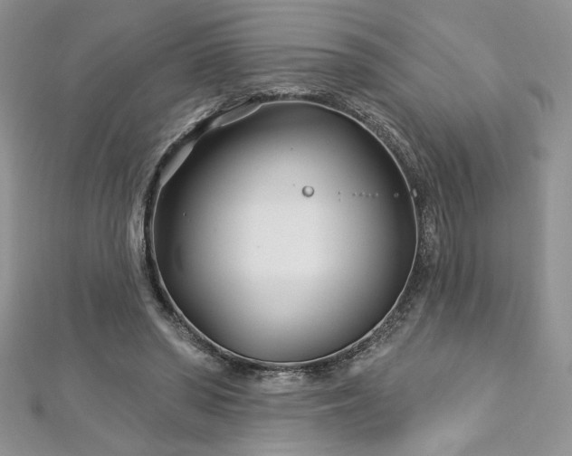 X0000113160398200909041300