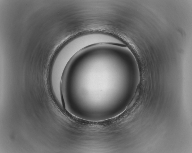 X0000113160399200909041300