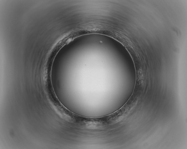 X0000113160400200909041300