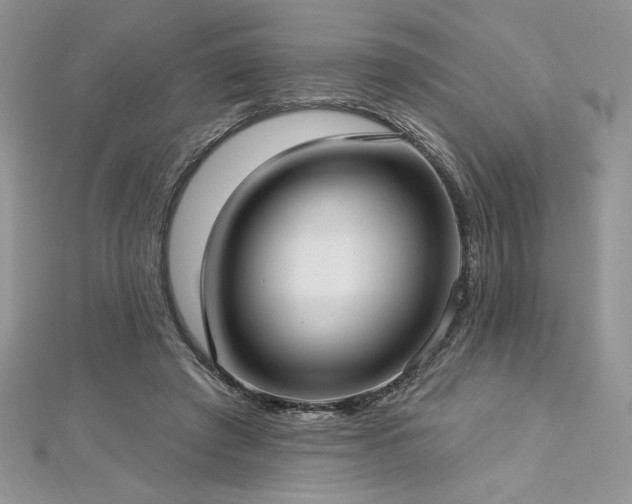 X0000113160401200909041300