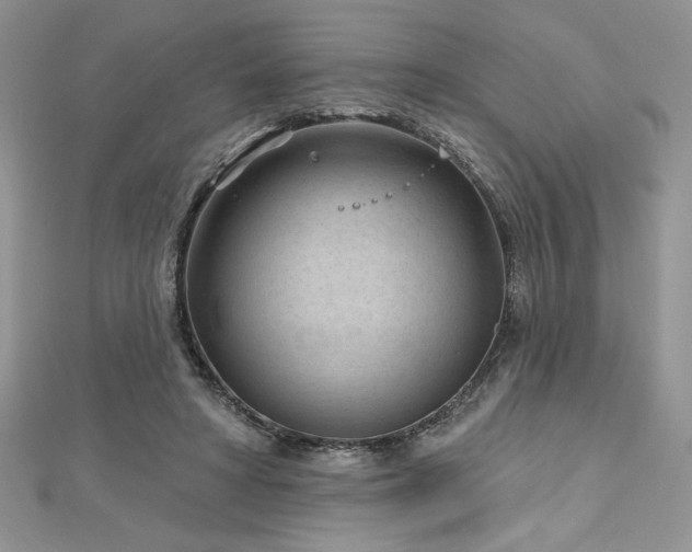 X0000113160402200909041300