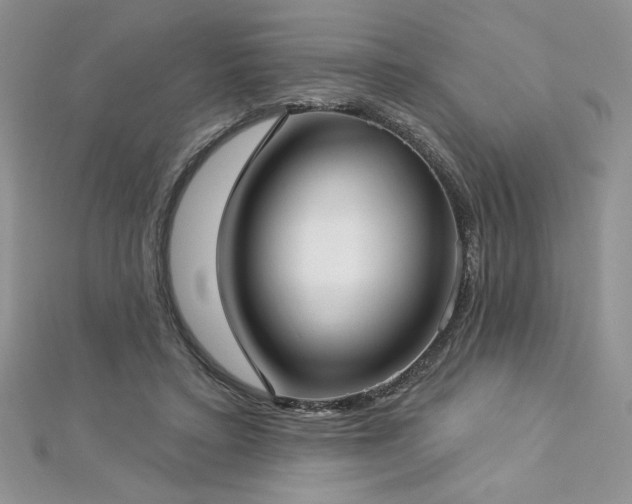 X0000113160403200909041300