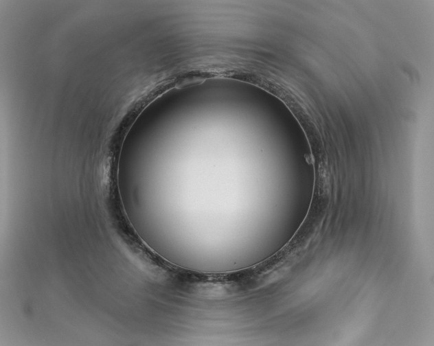 X0000113160404200909041300