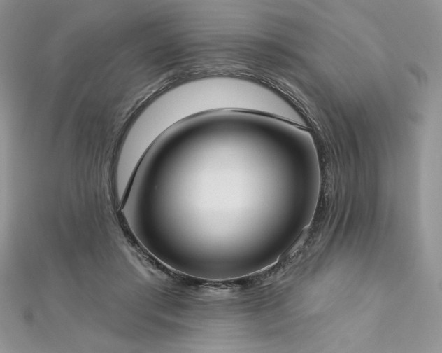 X0000113160405200909041300