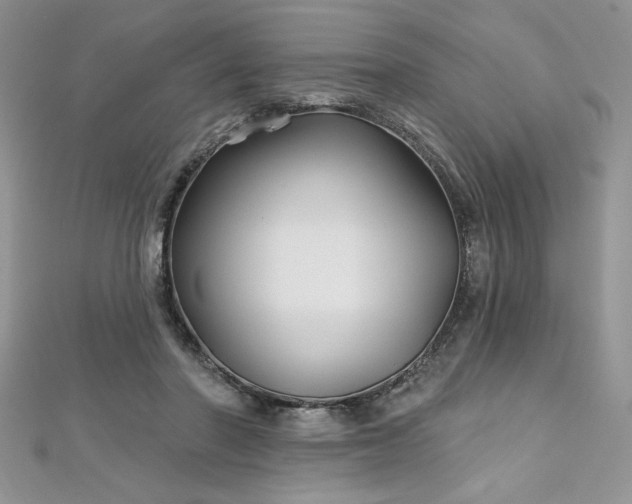 X0000113160406200909041300