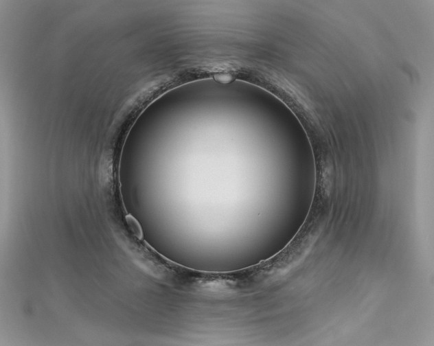 X0000113160407200909041300