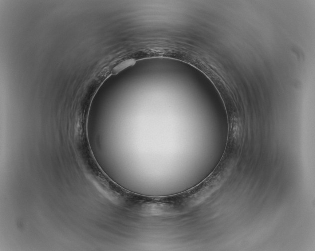 X0000113160408200909041300