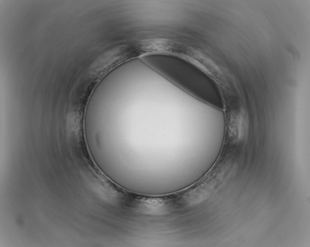 X0000113160409200909041300