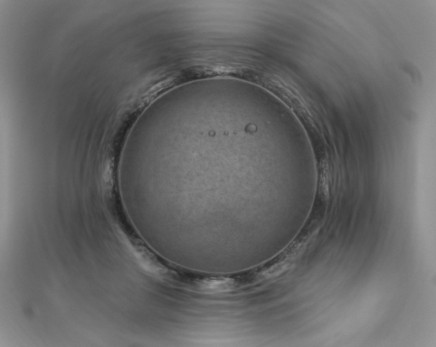 X0000113160410200909041300