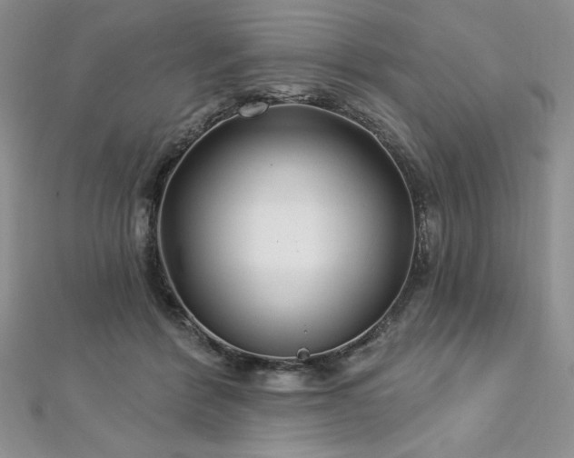 X0000113160412200909041300