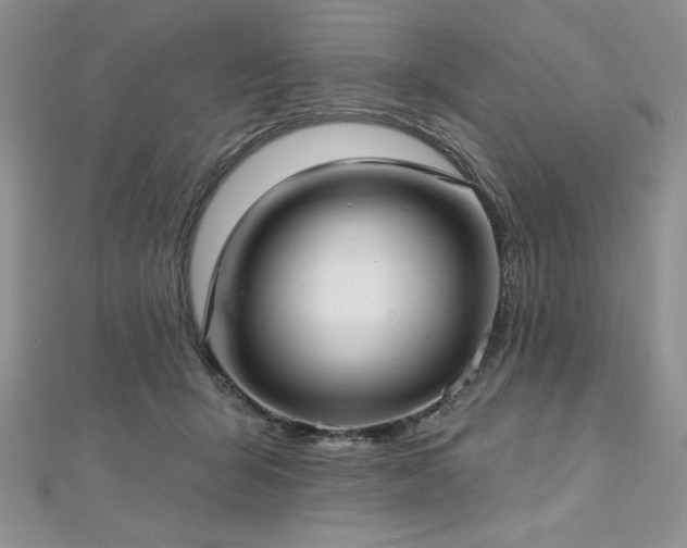 X0000113160415200909041259
