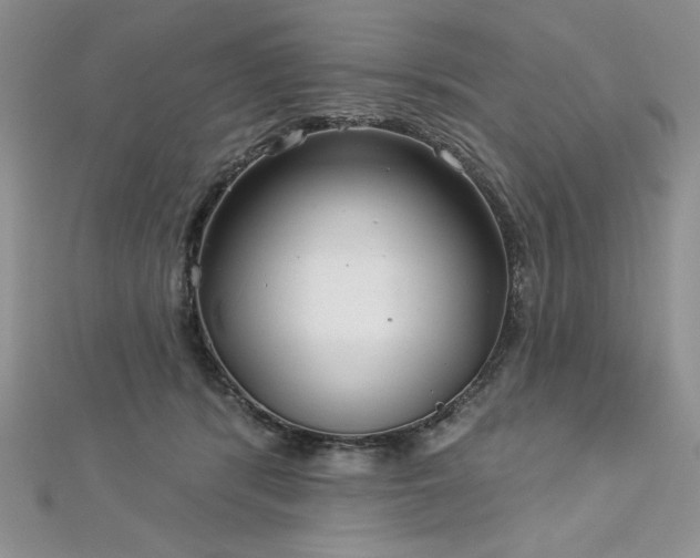 X0000113160416200909041259