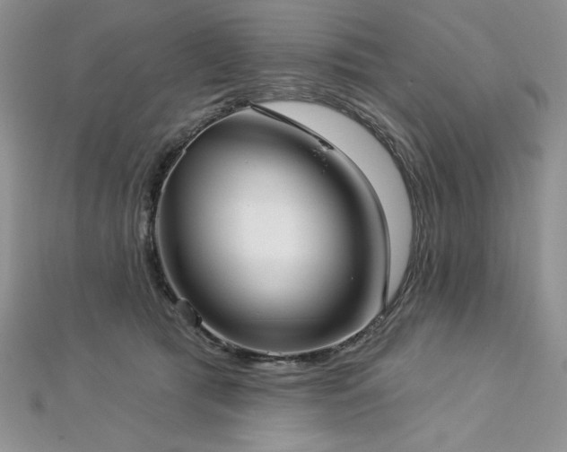X0000113160417200909041259