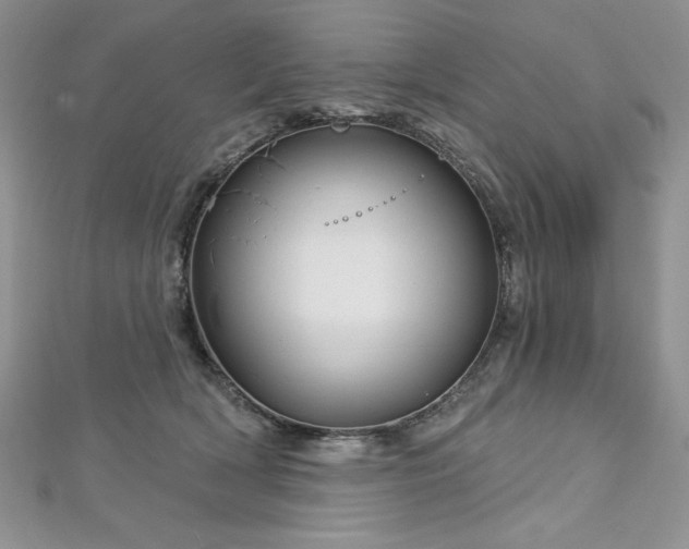 X0000113160418200909041259