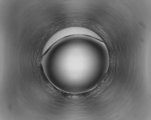 X0000113160419200909041259