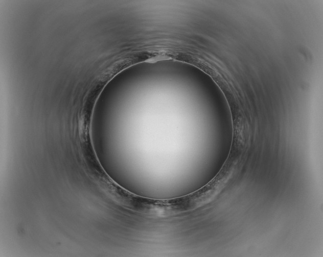 X0000113160420200909041259