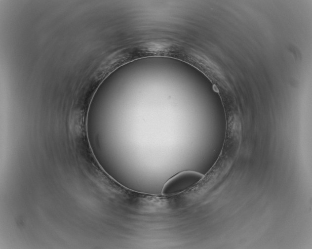 X0000113160421200909041259