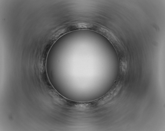 X0000113160422200909041259