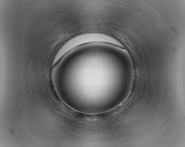 X0000113160423200909041259