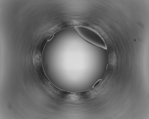 X0000113160425200909041259