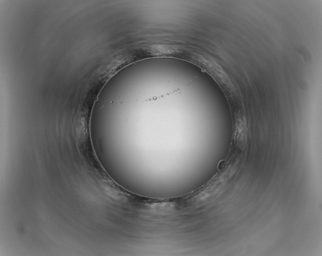X0000113160426200909041259