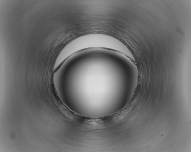 X0000113160427200909041259