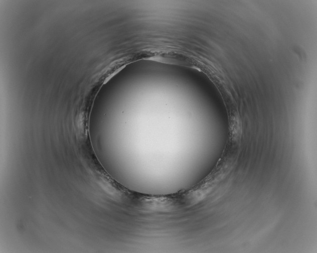 X0000113160428200909041259