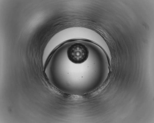 X0000113160429200909041259