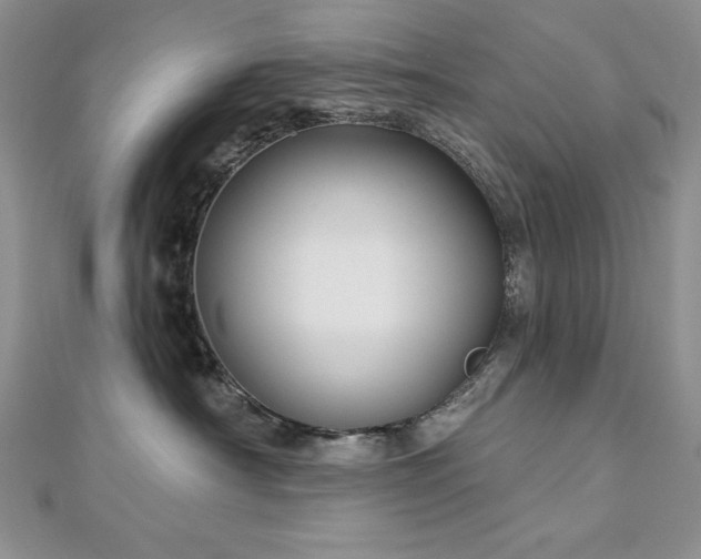 X0000113160430200909041259
