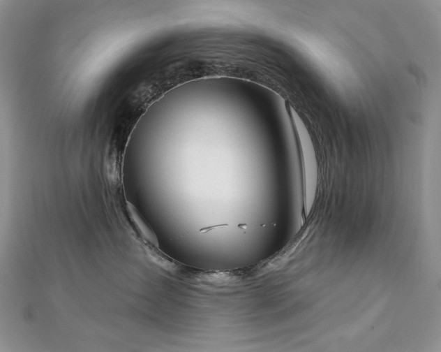 X0000113160431200909041259