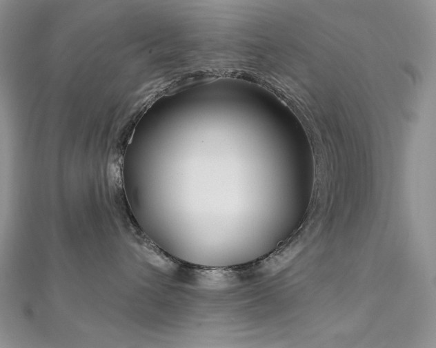 X0000113160432200909041259