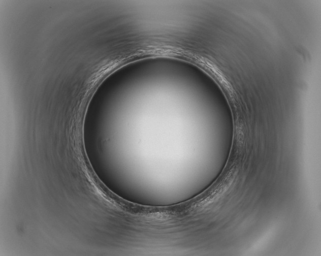 X0000113160433200909041258
