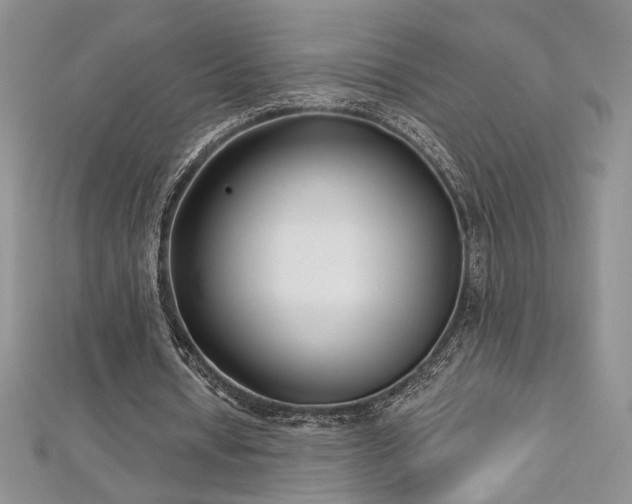X0000113160434200909041258