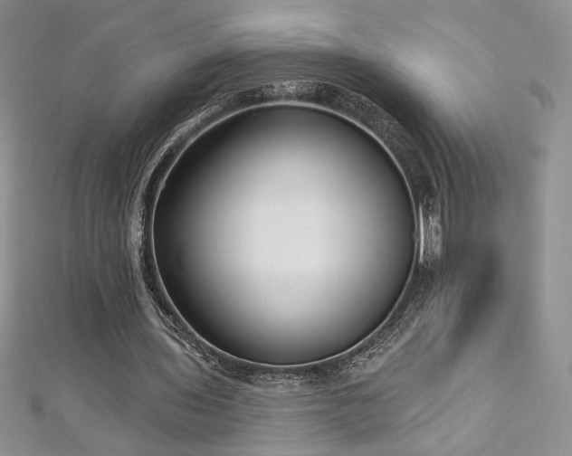 X0000113160435200909041258