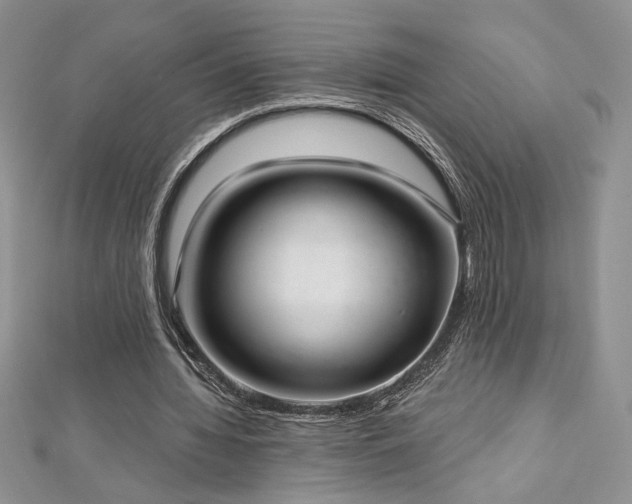X0000113160436200909041259