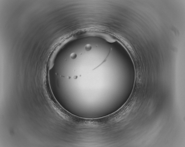 X0000113160437200909041259