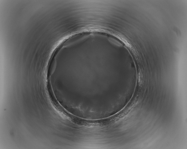 X0000113160438200909041259