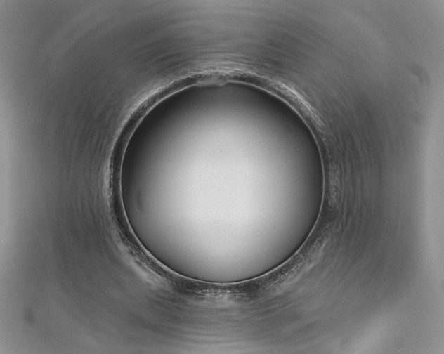 X0000113160439200909041259