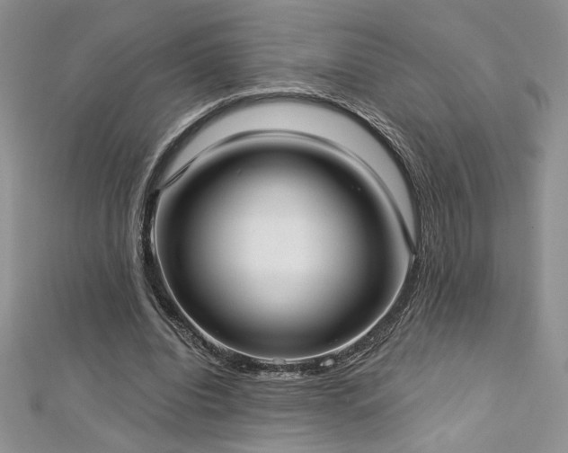 X0000113160440200909041259