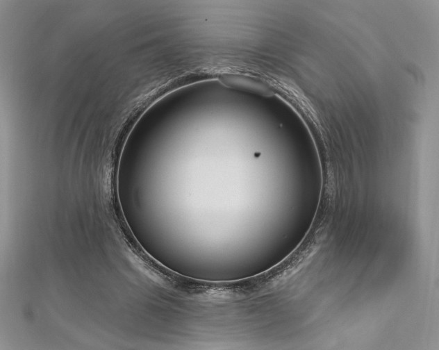 X0000113160441200909041259